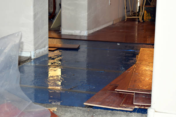 Professional Flood Damage Repair technician working in Plymouth, MA
